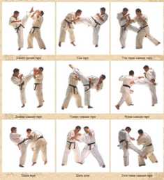 Техники и удары в каратэ: основные элементы боевого искусства