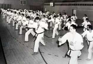 Женщины в каратэ: истории успешных бойцов и их вклад в боевые искусства